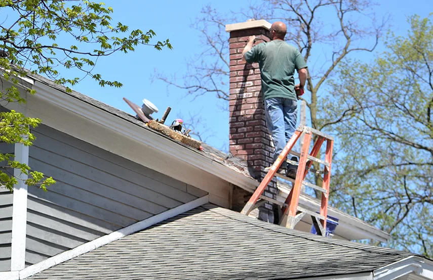 Chimney & Fireplace Inspections Services in Forrest City, AR